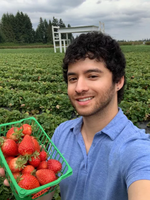 I recently tried strawberry 🍓 picking for the first time, and to my surprise, I found it incredibly calming. 😊 by mccola123