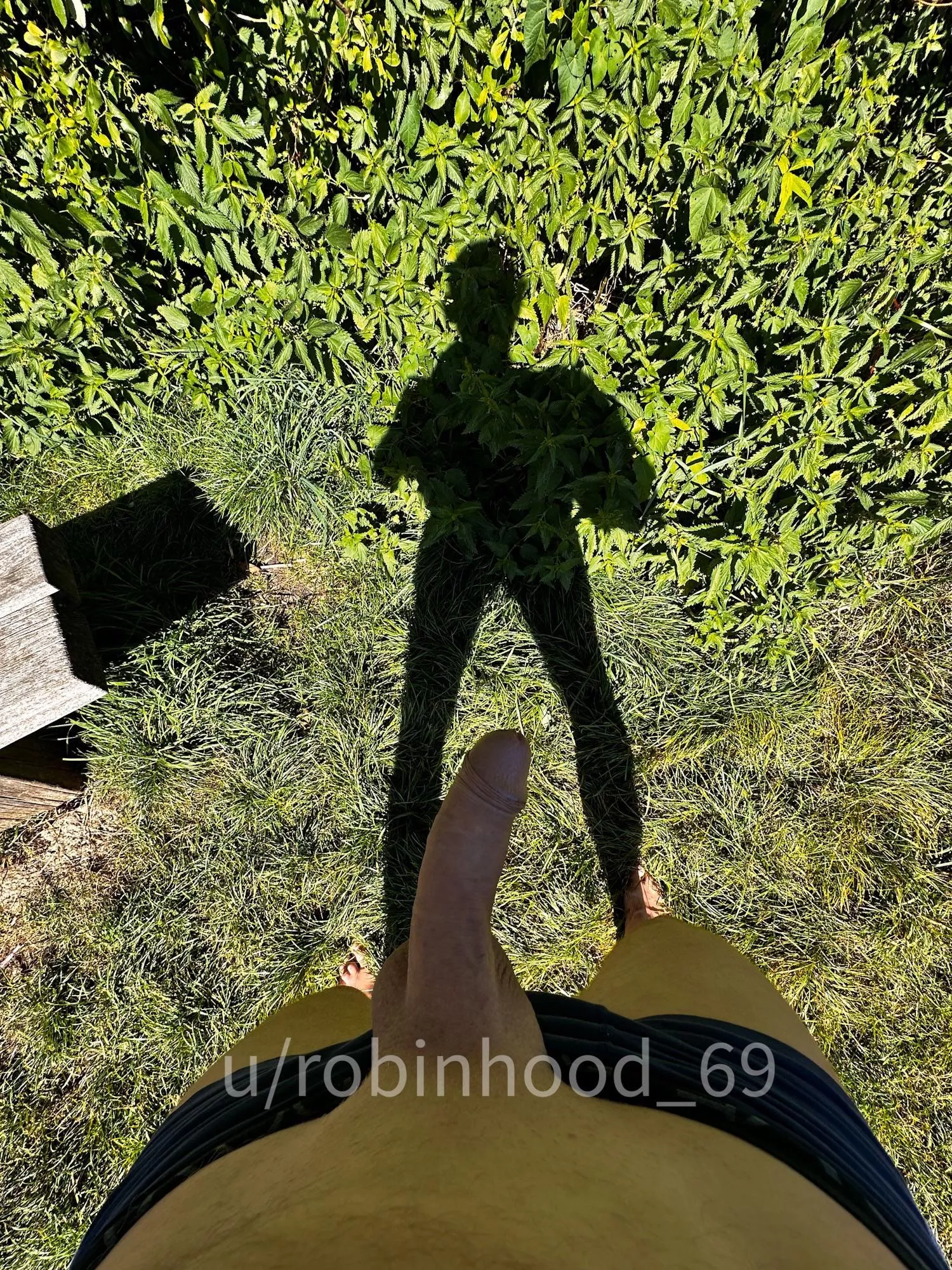 It was sunny day. My cock was very sweaty .. posted by Robinhood_69