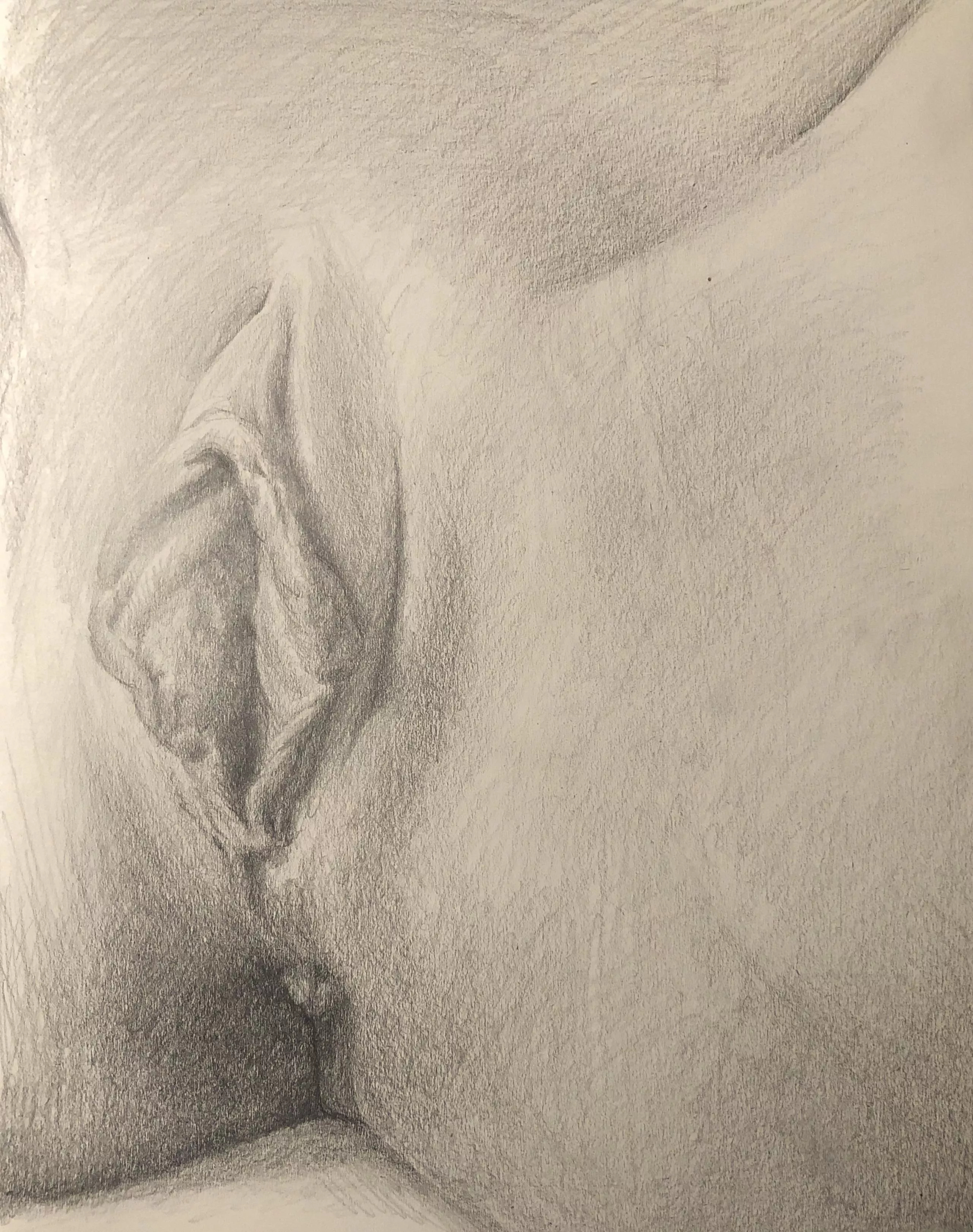 Study of u/alisakitt by me posted by jayfishjayfish