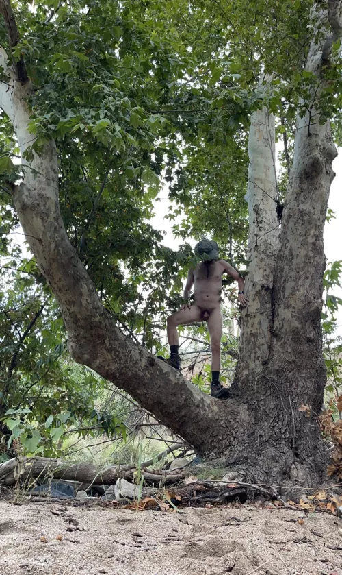 🌲 Tree pose Tuesday 🌲 by Boobluvr0069