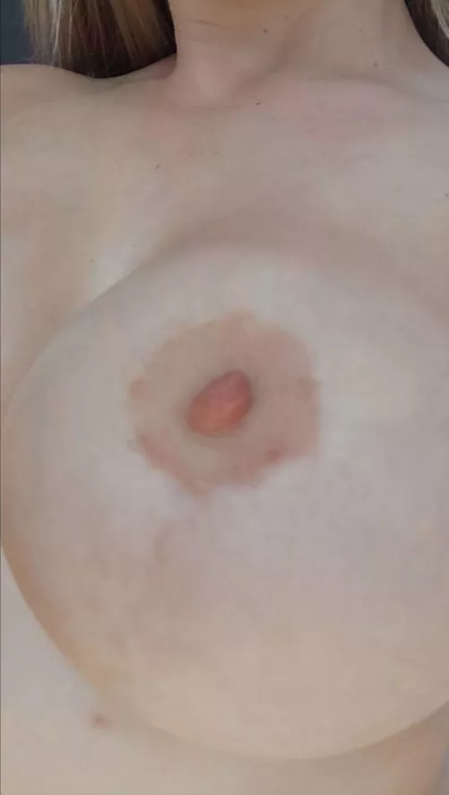 What would you do to me? by Agitated-Rub757