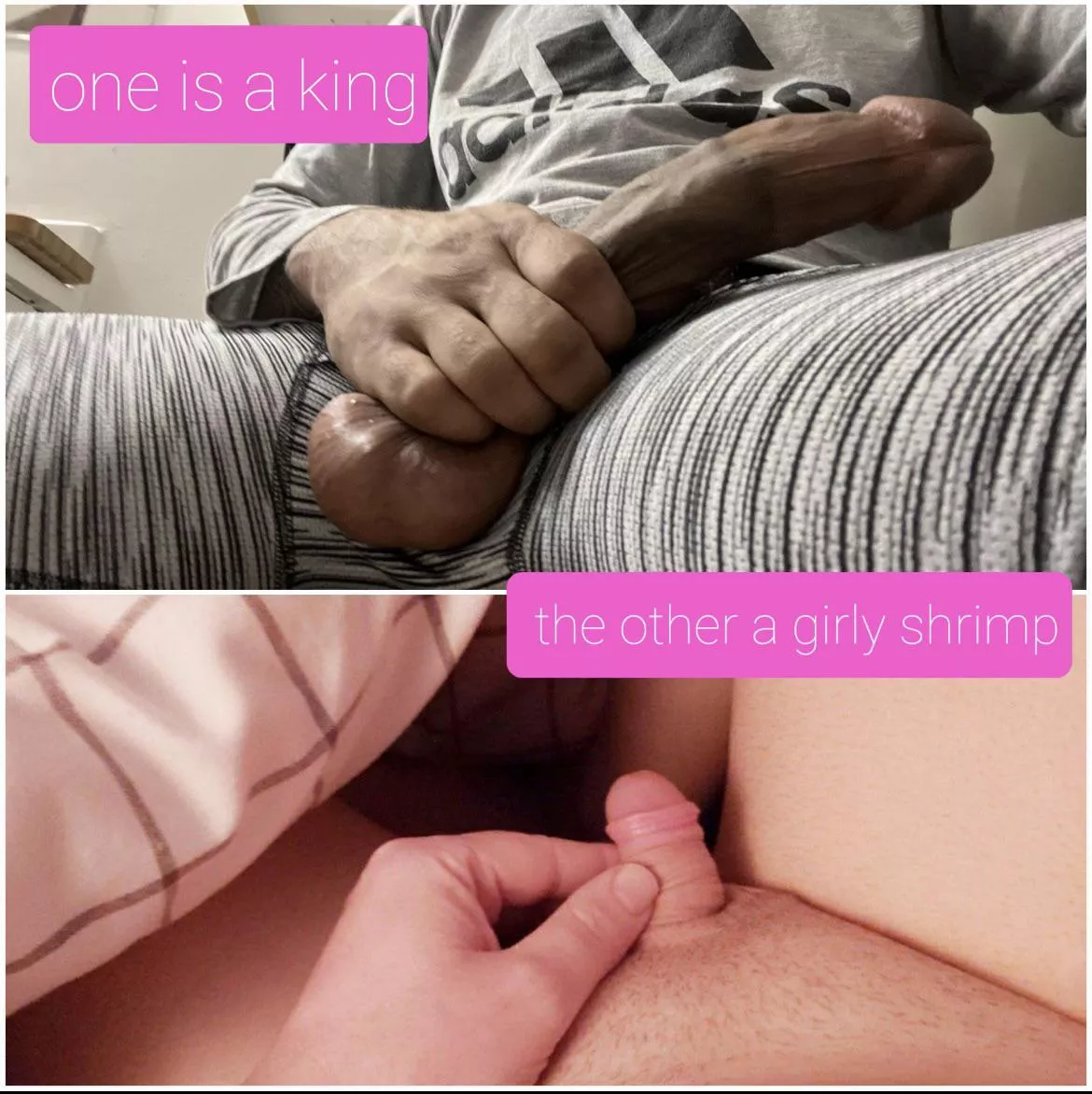 Yep it’s clear to us all posted by Elixurgurl