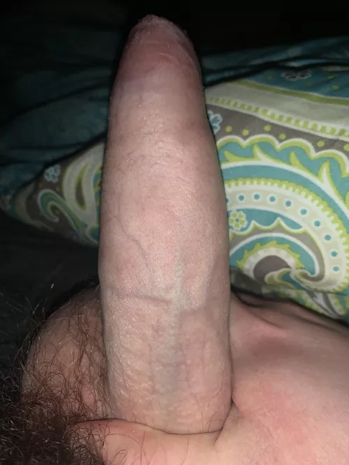 19/ Sometimes I wish I was cut feels like less people like my dick cause it’s uncut ): by Pretend-Internal-120