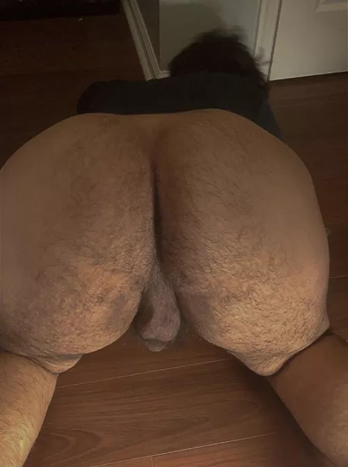 Are hairy ass welcome here by Alarmed-Sun2365