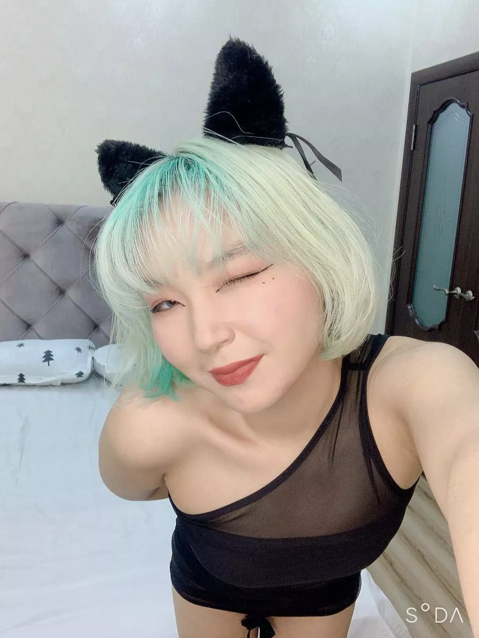 Asuan kitty posted by Waste-Cup9907