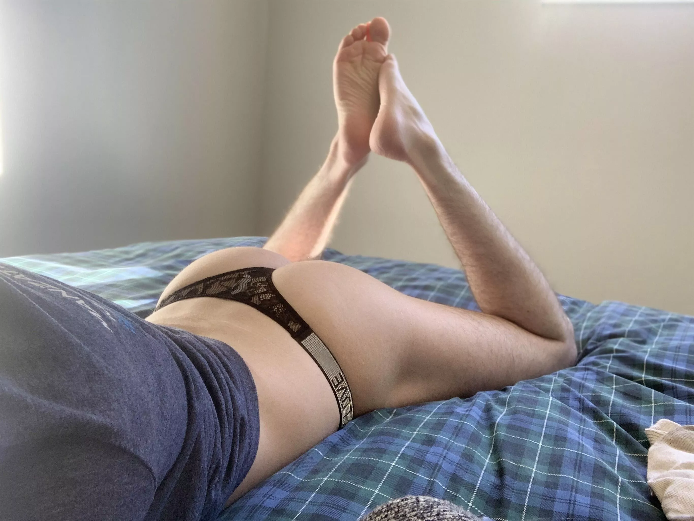 Could I sit on your face? posted by austintttt