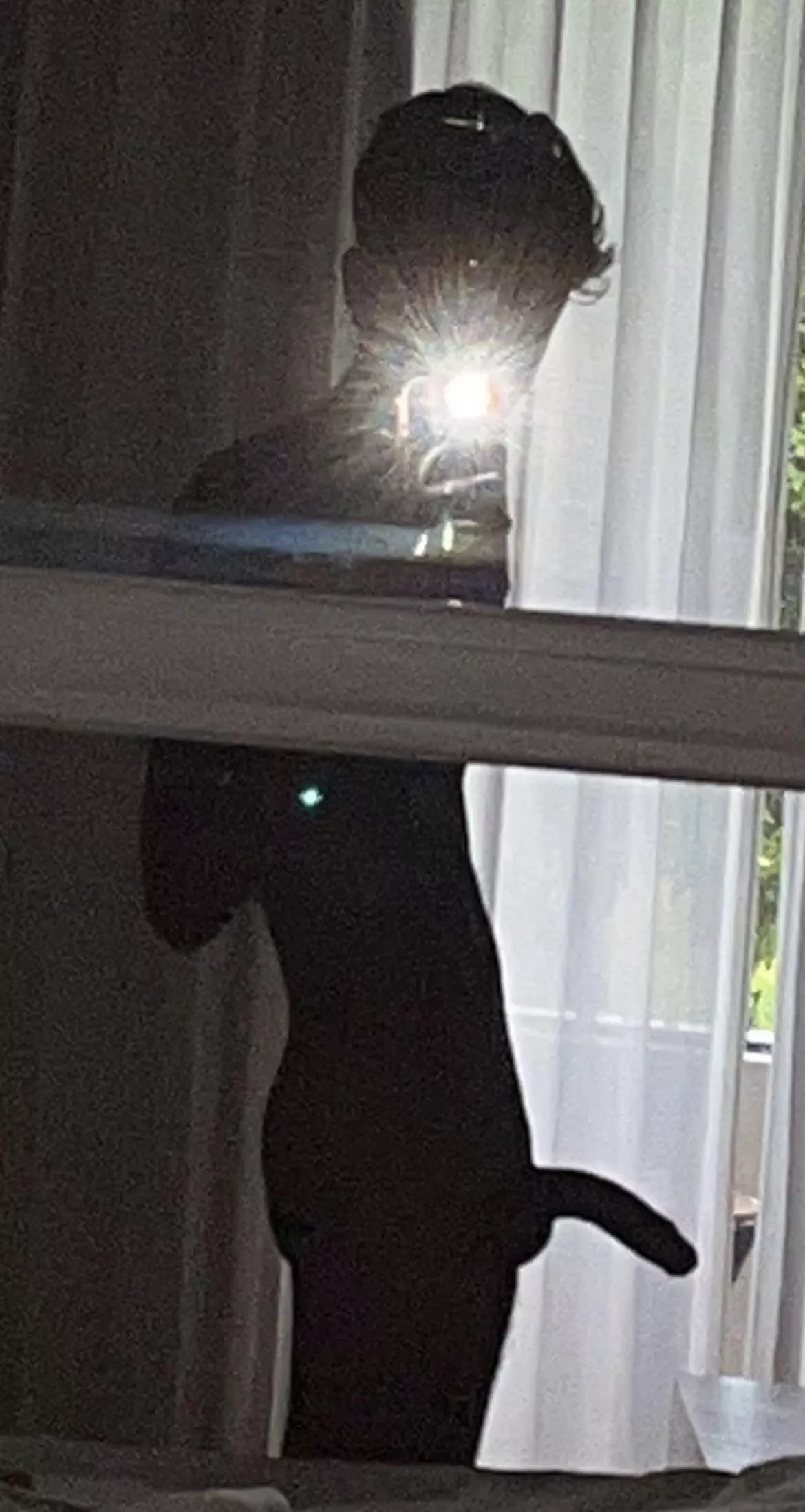 dm for more posted by MomsRigatoni