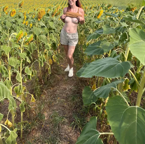 Ever fucked in a sunflower field before? by Cay_Bakes