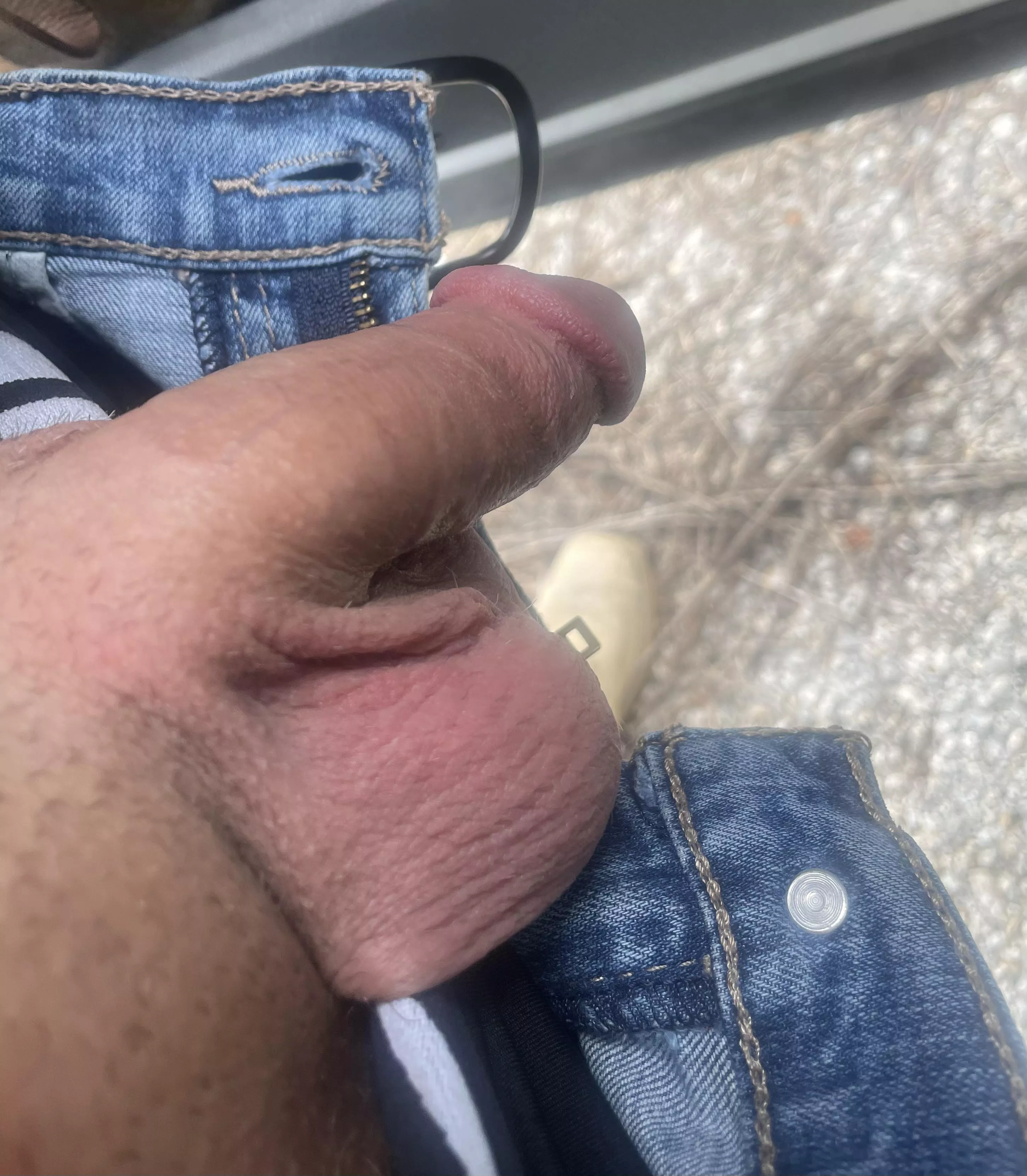 Had to stop for a quick piss on the side of the road posted by ridethelightning011