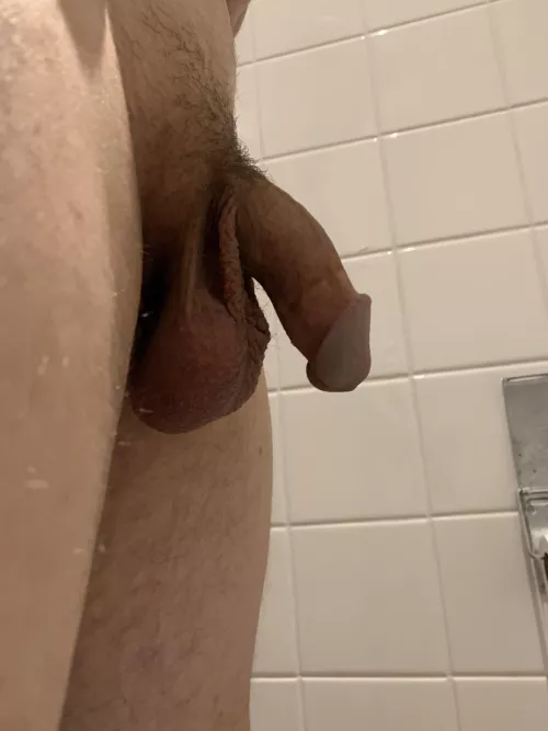 looking for soft cock and balls comparison. results can be posted. by cocklover259