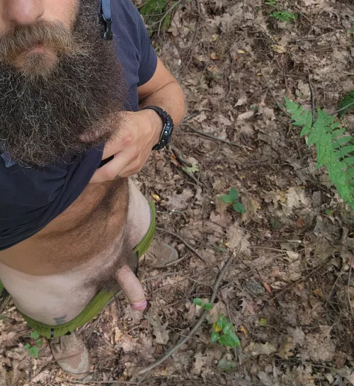 Meet me in the forest by maxamillion1000000