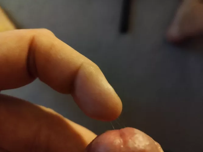 No touch precum, been brewing for hours by Feisty_T85