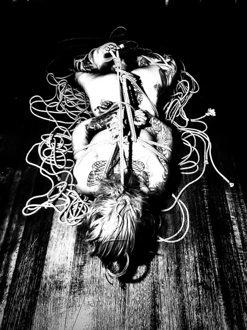 Safe & Bound. by Safe_and_Bound