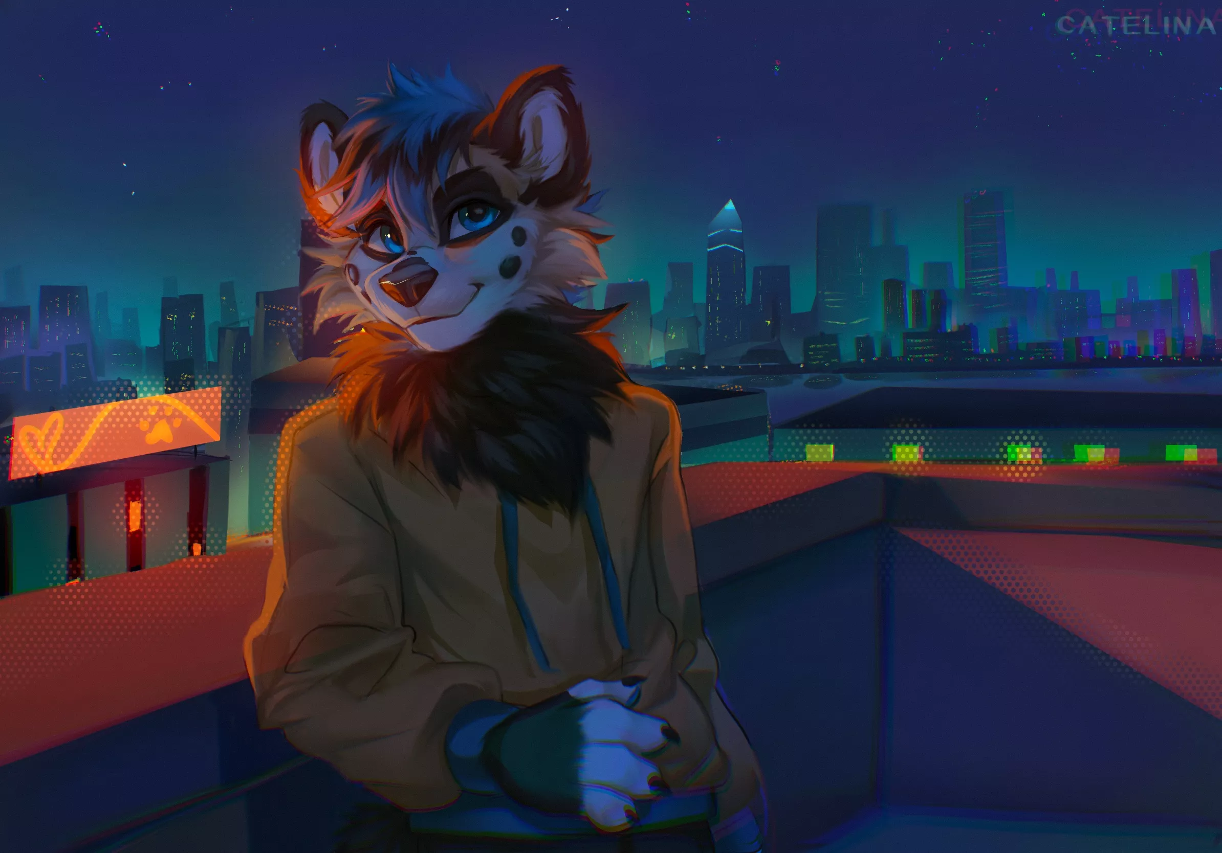 Starry Night [Catelina] posted by DL2828