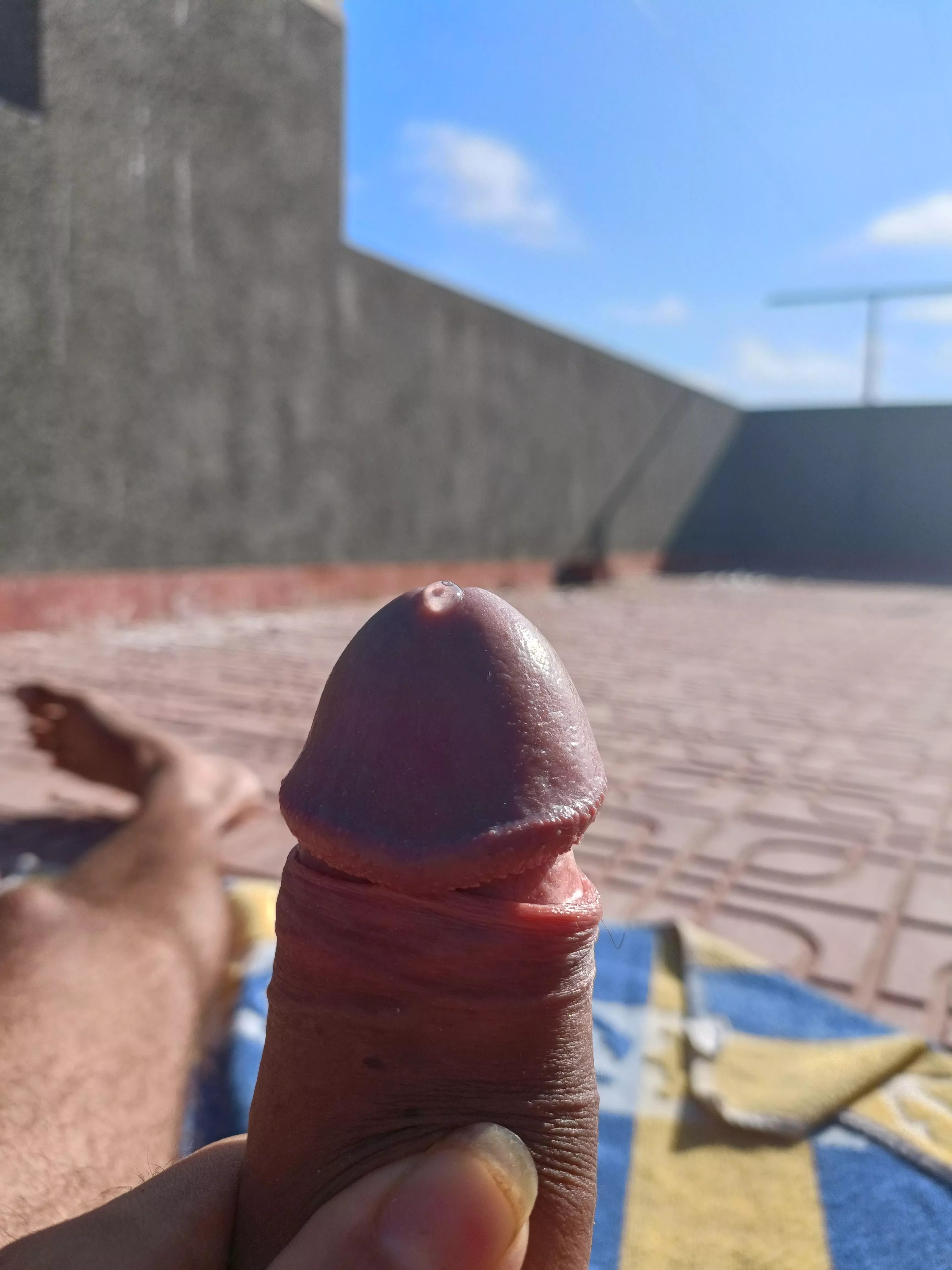 sunshine posted by Informal_Bowl6756