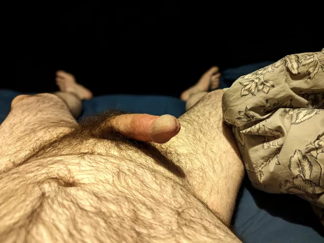 Those moments right before I have to get out of bed and face the day are the hardest. 😊 by theyetikonfetti