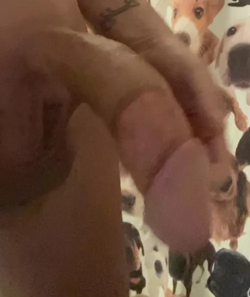 (60)I need a good sucking by goons2