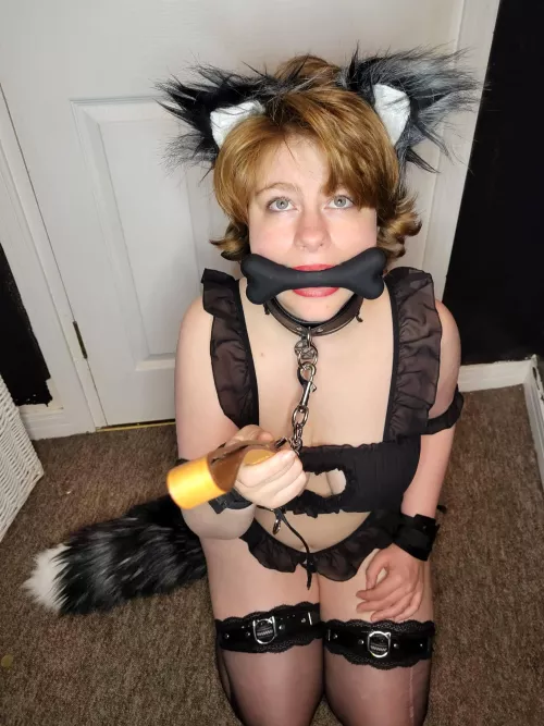 All pets should be gagged [f] by LuckyDarla