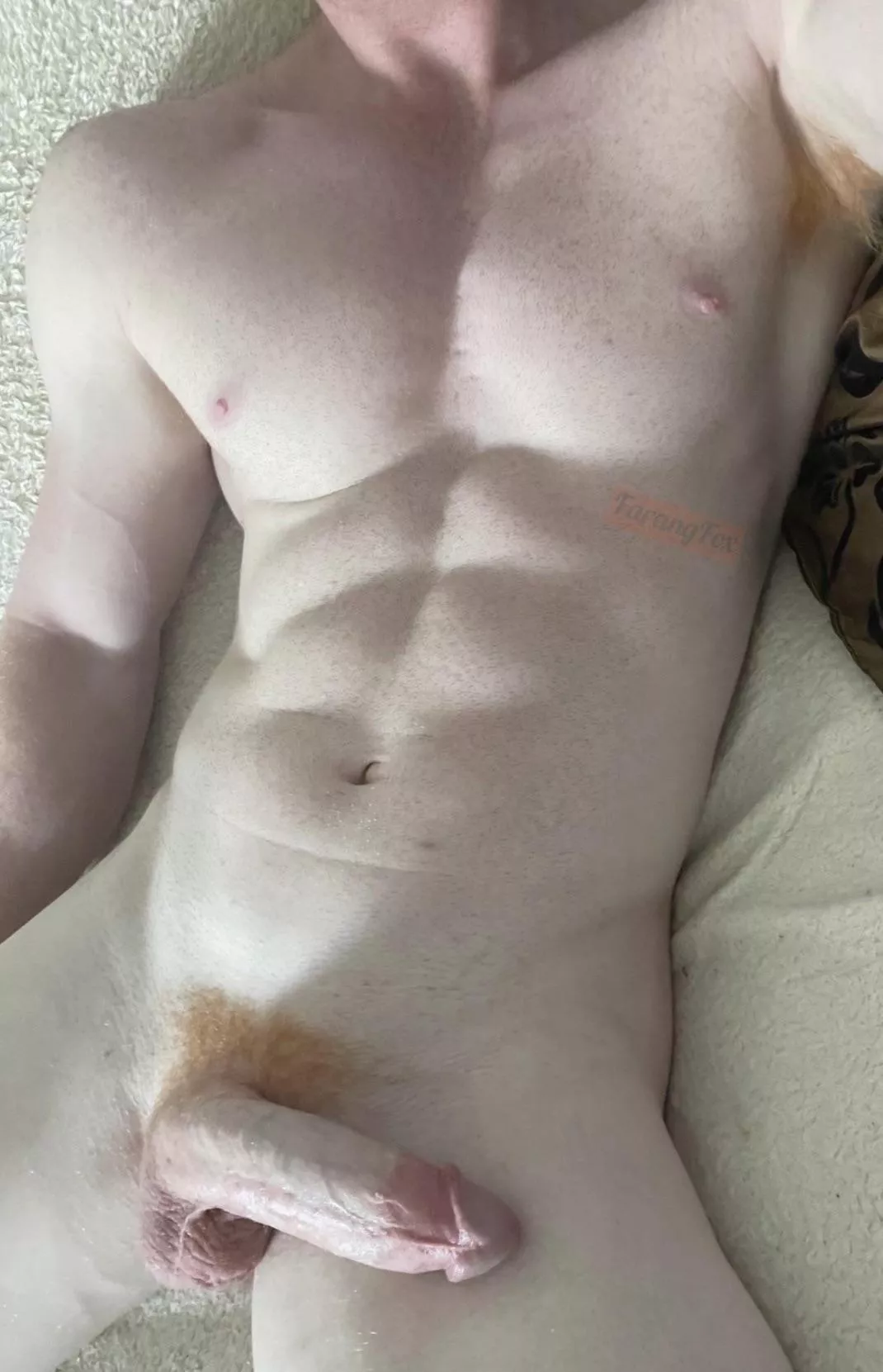 Could you take this dick daily? posted by FarangFox