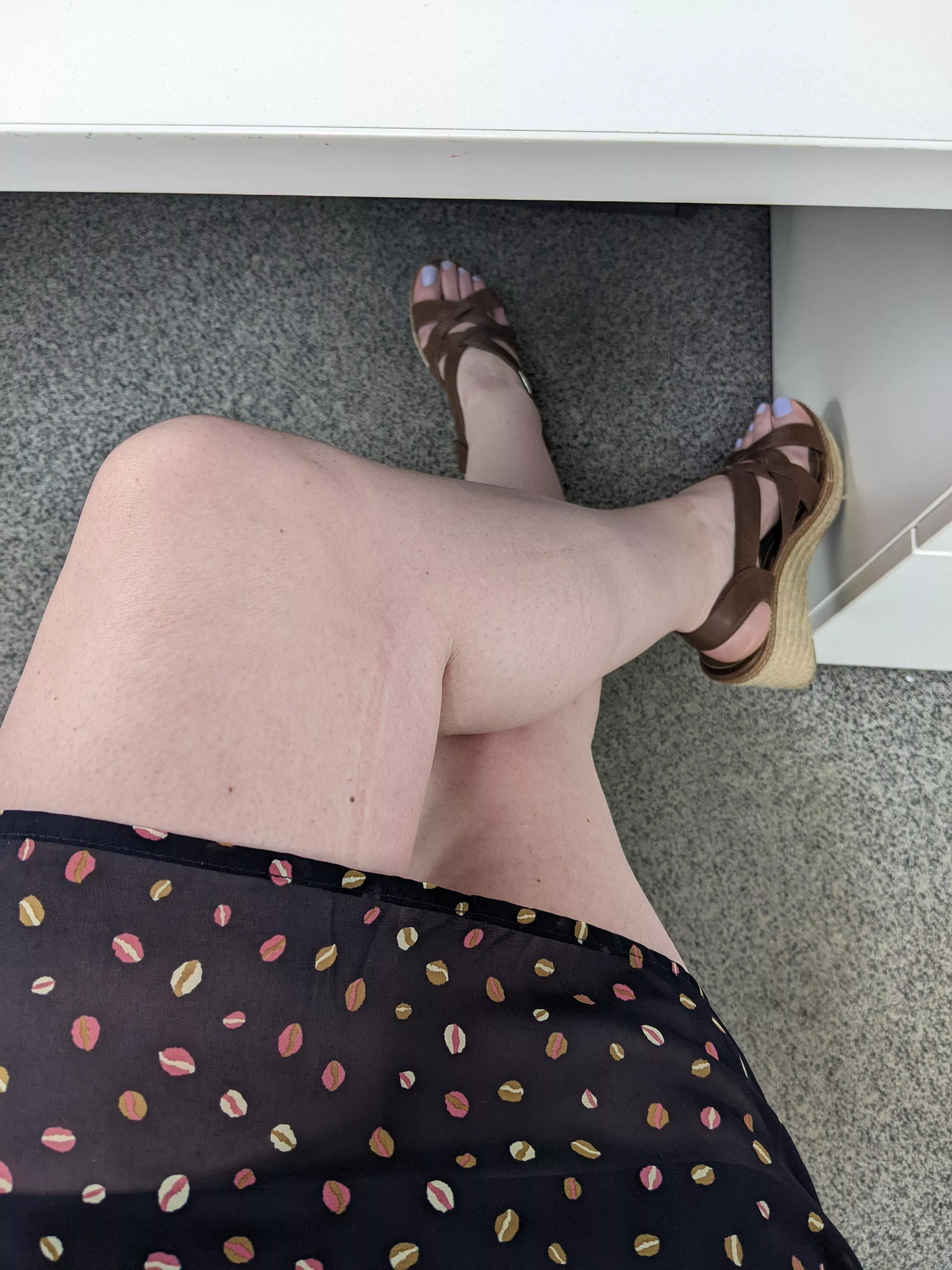 Early start today! posted by lonely_chameleon_