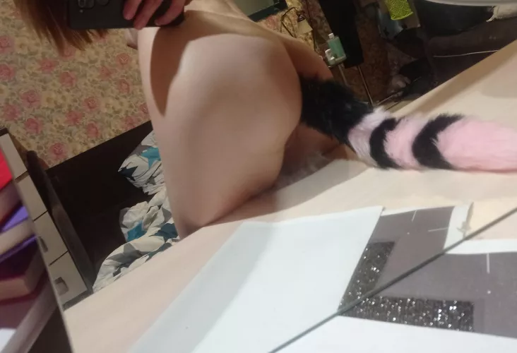 fool around? 🐱 by Richy_Proll