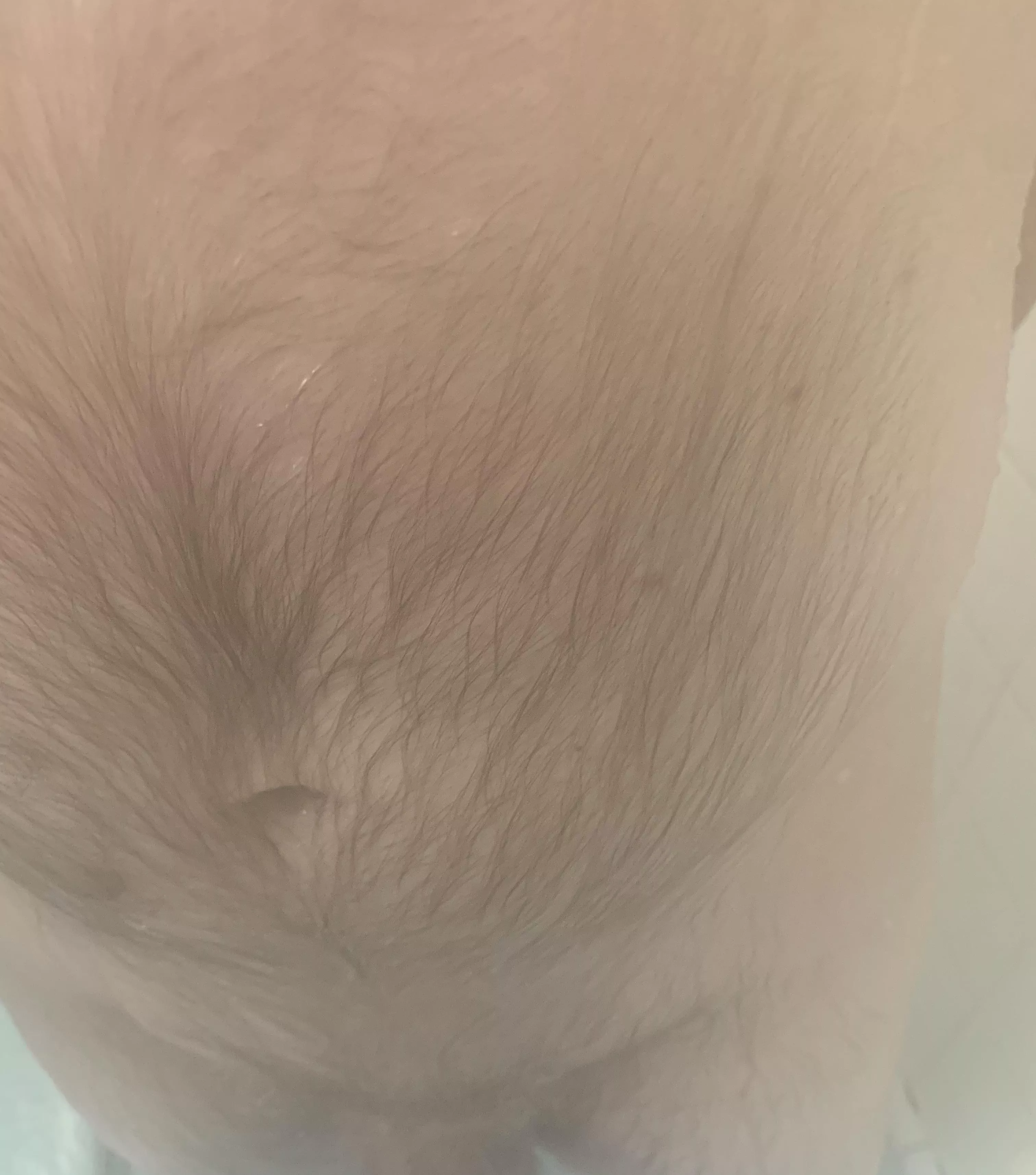 Happy Wednesday posted by Springfield63