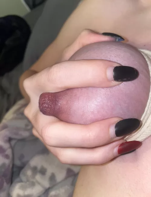 I love how big and long my nipples are, do you ? Btw they stay hard 24/7 even when I’m not horny… by Mygirl666_