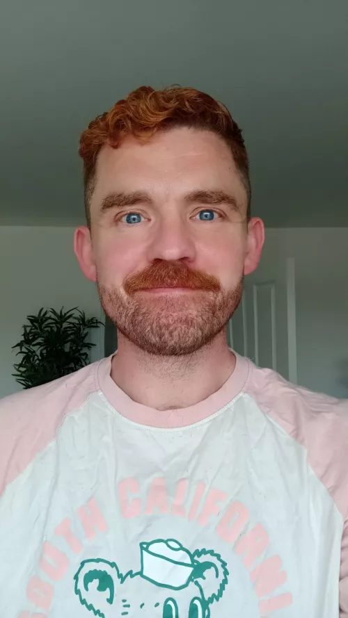 I need an iron. by d139nn