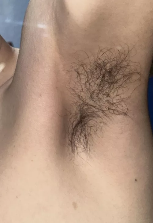 Just wanna say hi by Roxter_2201