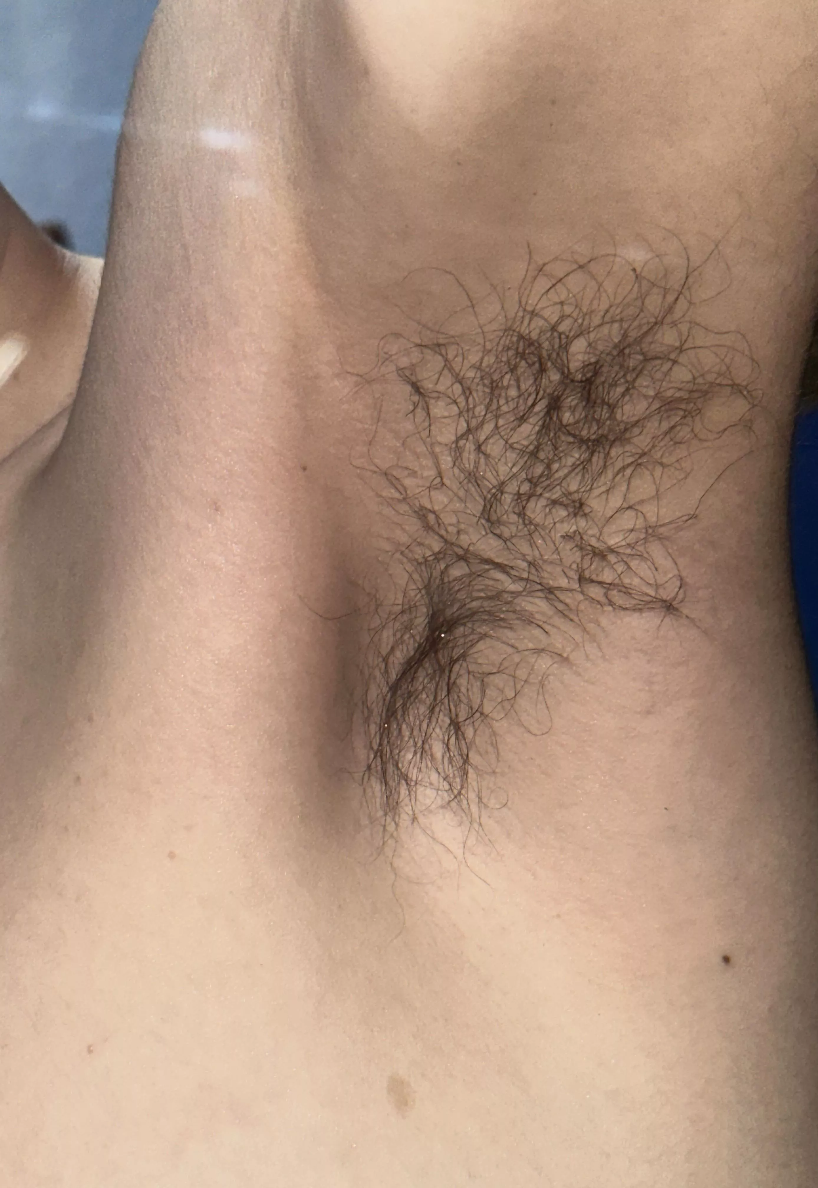 Just wanna say hi posted by Roxter_2201