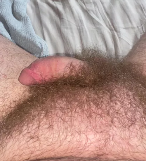 Like my bush? by ncfun105