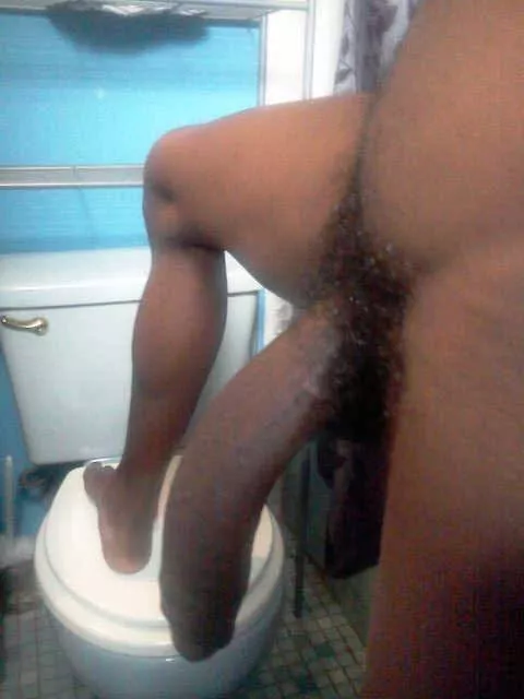 [M4T] Looking for trans sissy girl to dominate. Less limits the better. posted by Fine_Presence_2819