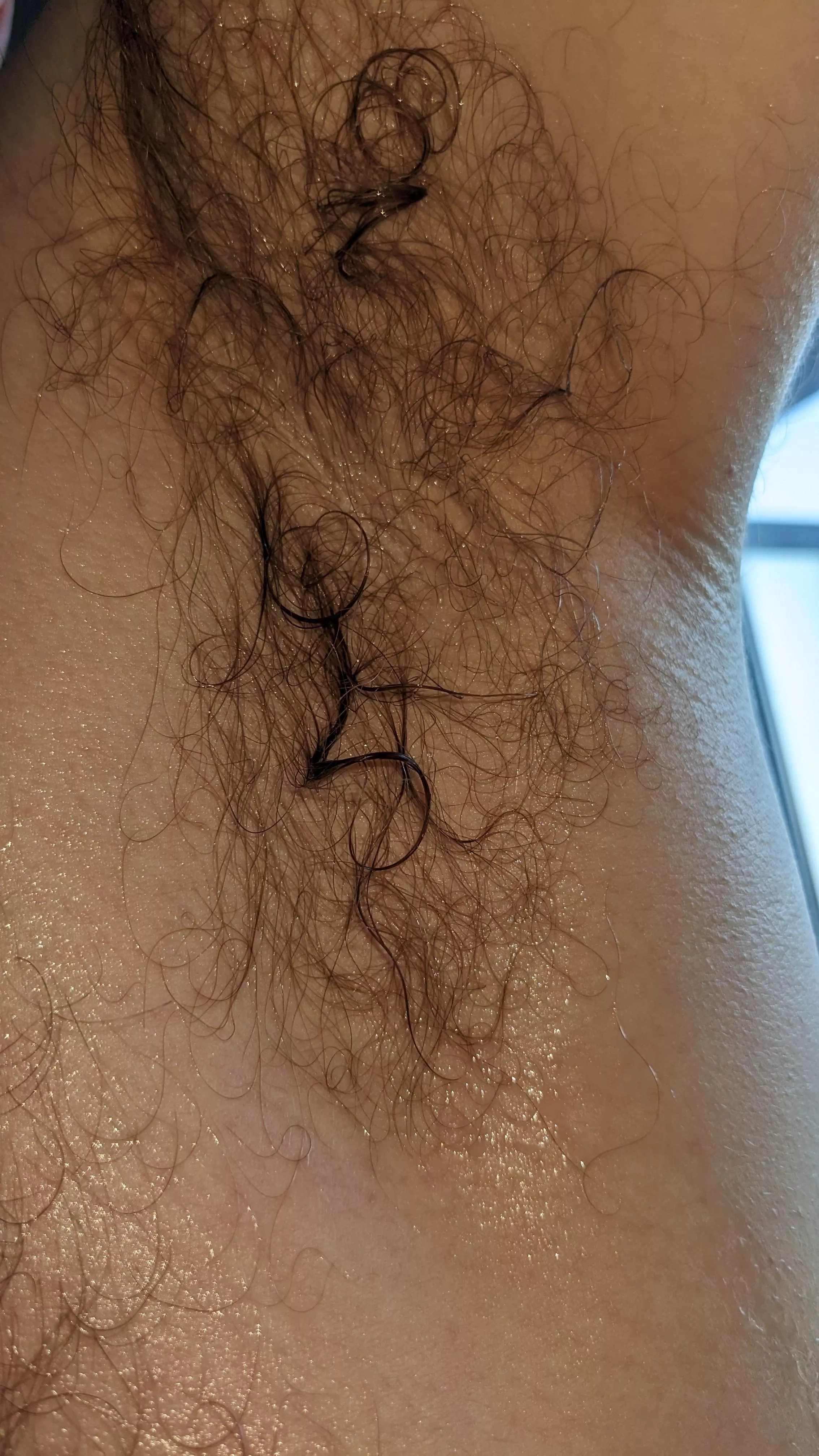 My absolutely dripping deodorant-free, hairy pit after a jog and a workout. Who wants a whiff? posted by responsive-banana