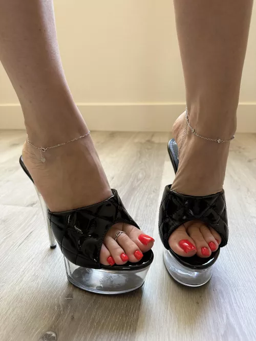 My new sexy mules 😍 by missheels07