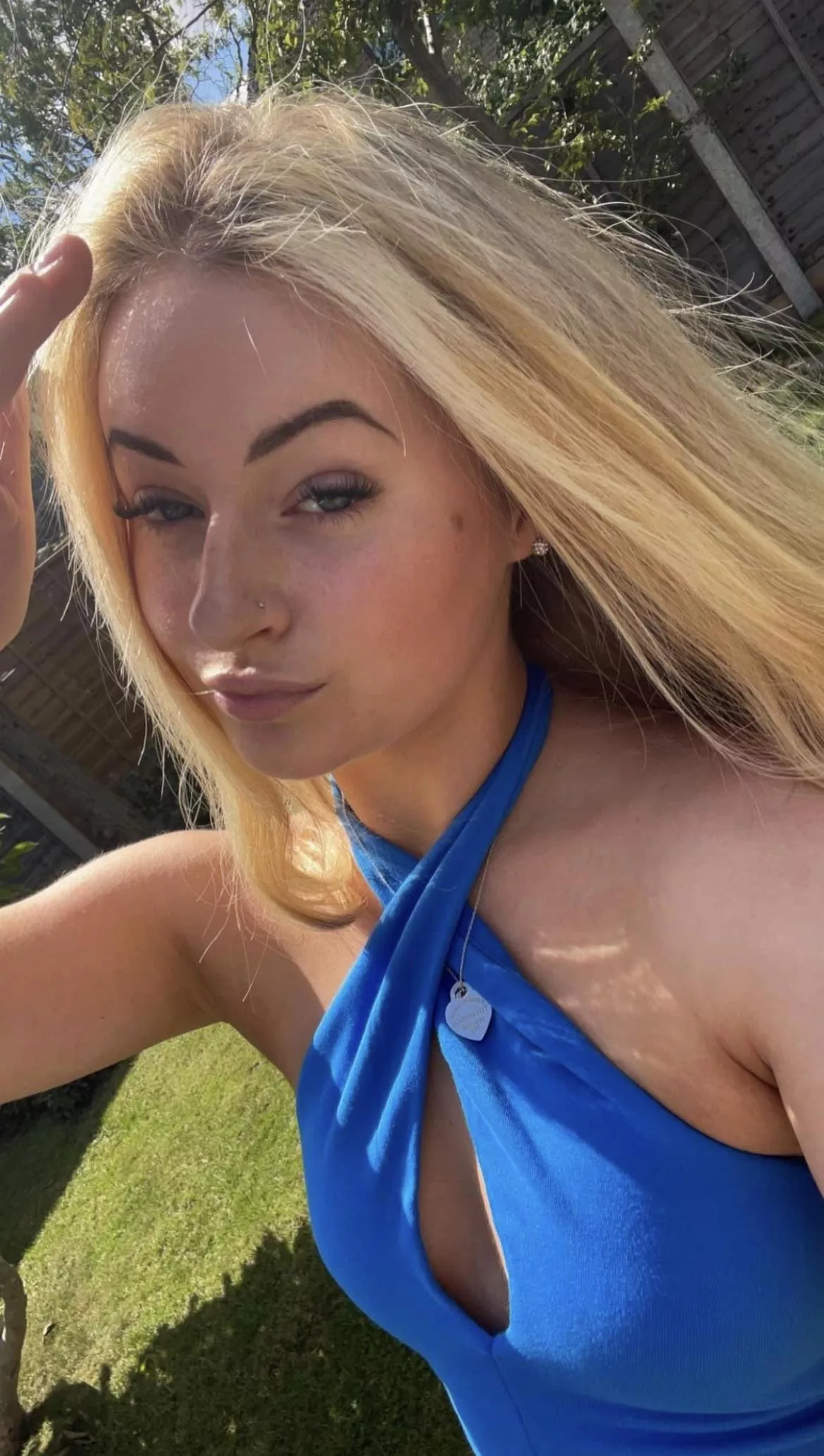 Need my gf bred by a hung bull. posted by Celebcuckworshipper