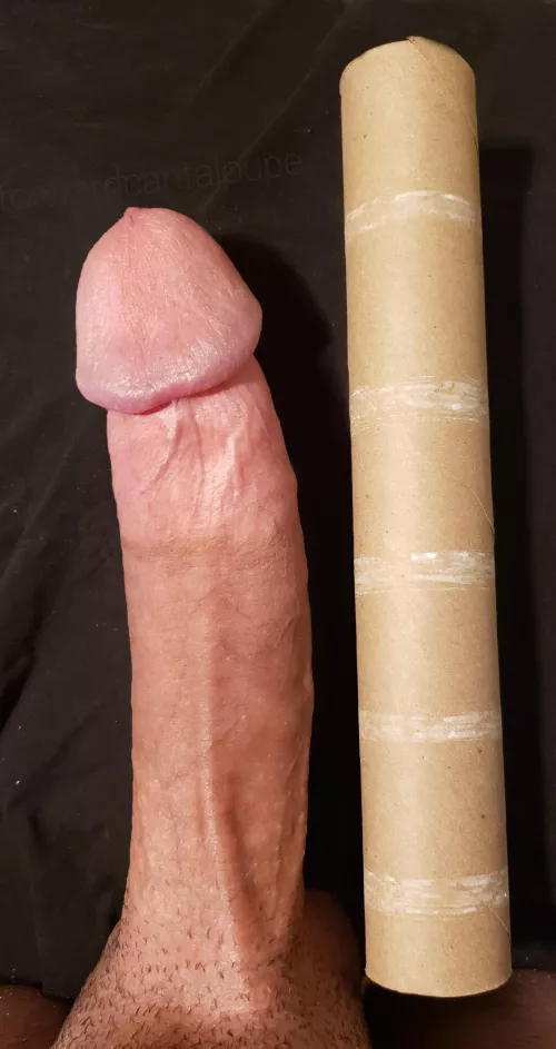 Paper towel roll by ForwardCantaloupe