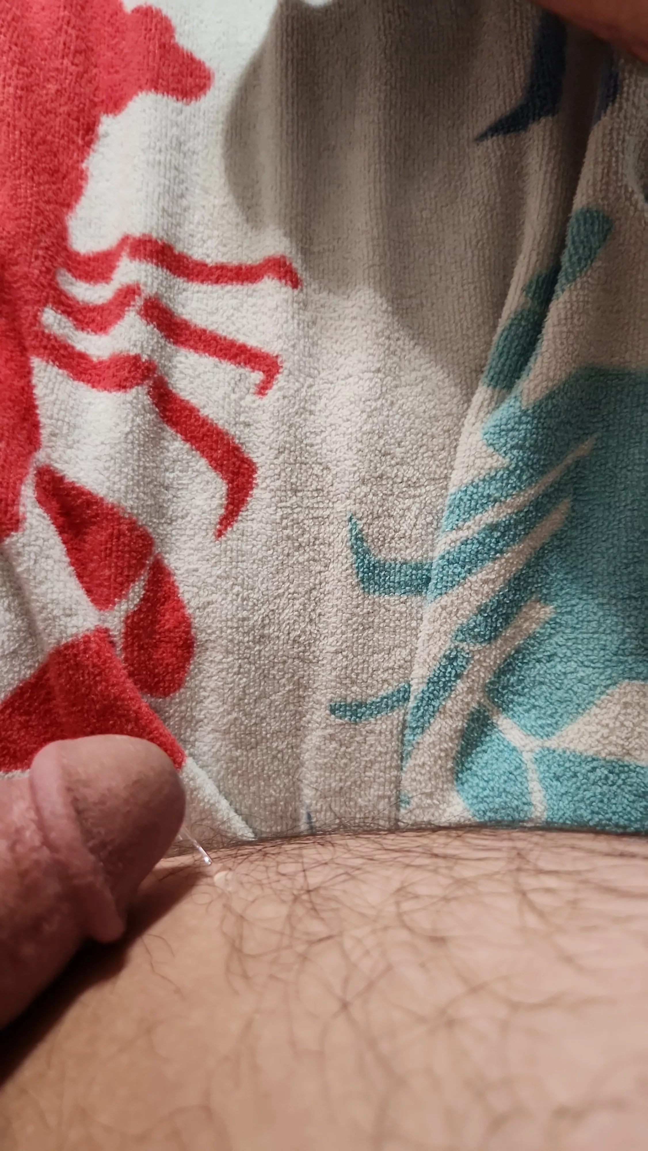 Play date! Edging with a domme! posted by longsoaker23