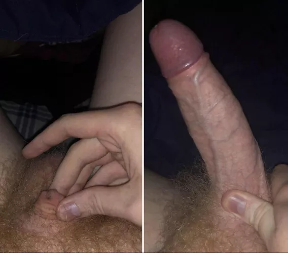 They call me The King Grower by Shortvine