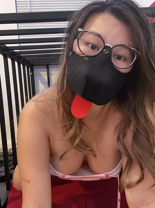 this asian puppy slut wants you to use me hard in this cage 🤤 by slutmuttsprout
