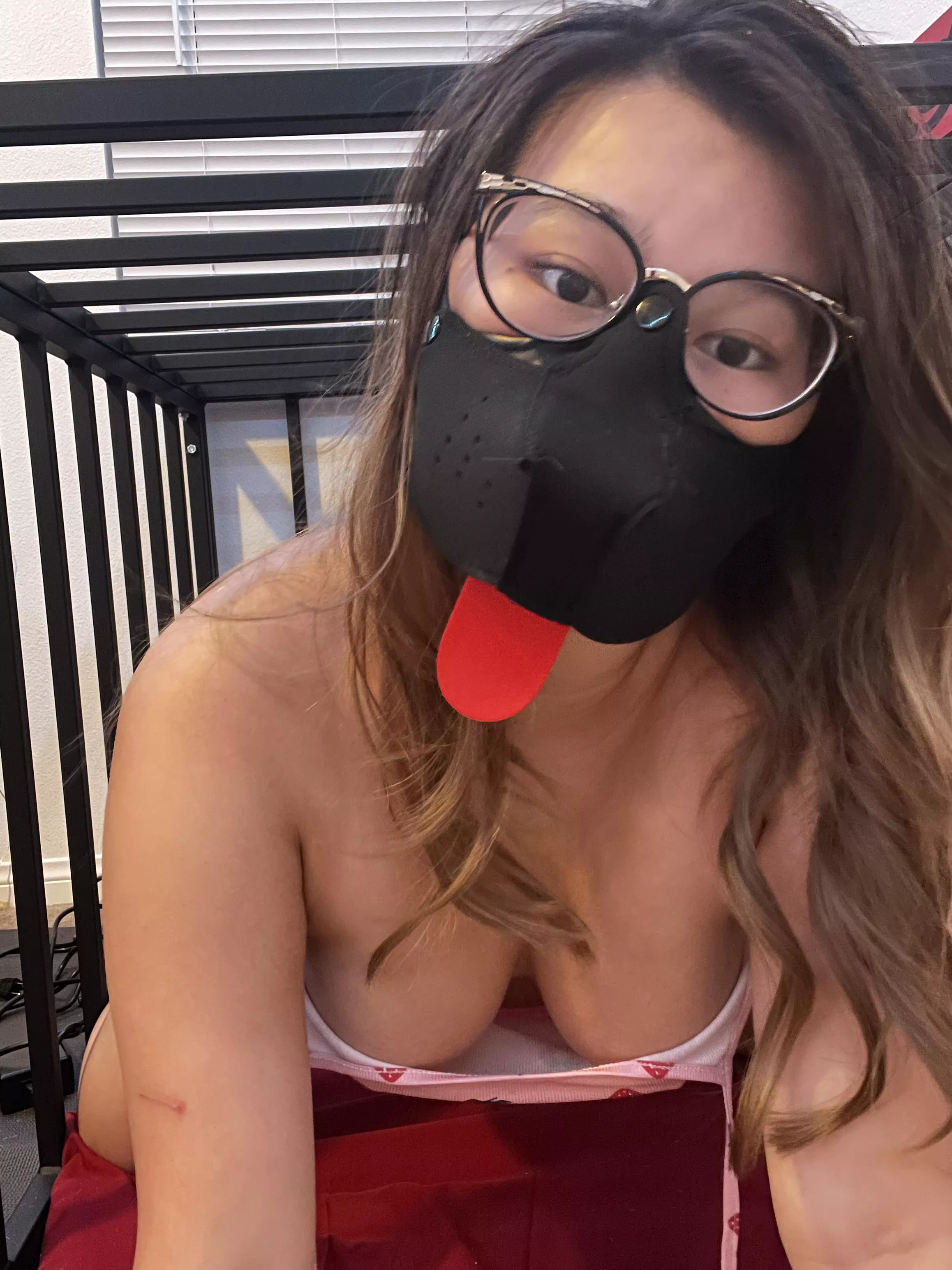 this asian puppy slut wants you to use me hard in this cage 🤤 posted by slutmuttsprout