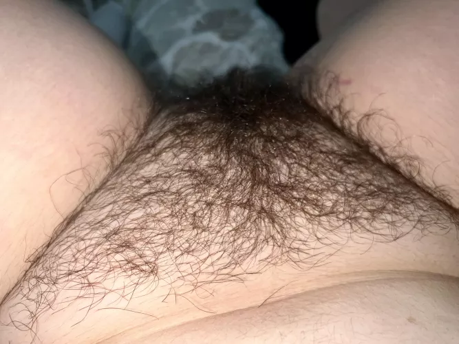 Too thick of a bush or just right? by baby_sophia20