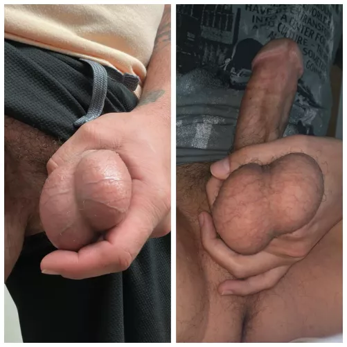 balls comparison with other redditor. left or right? by cocklover259