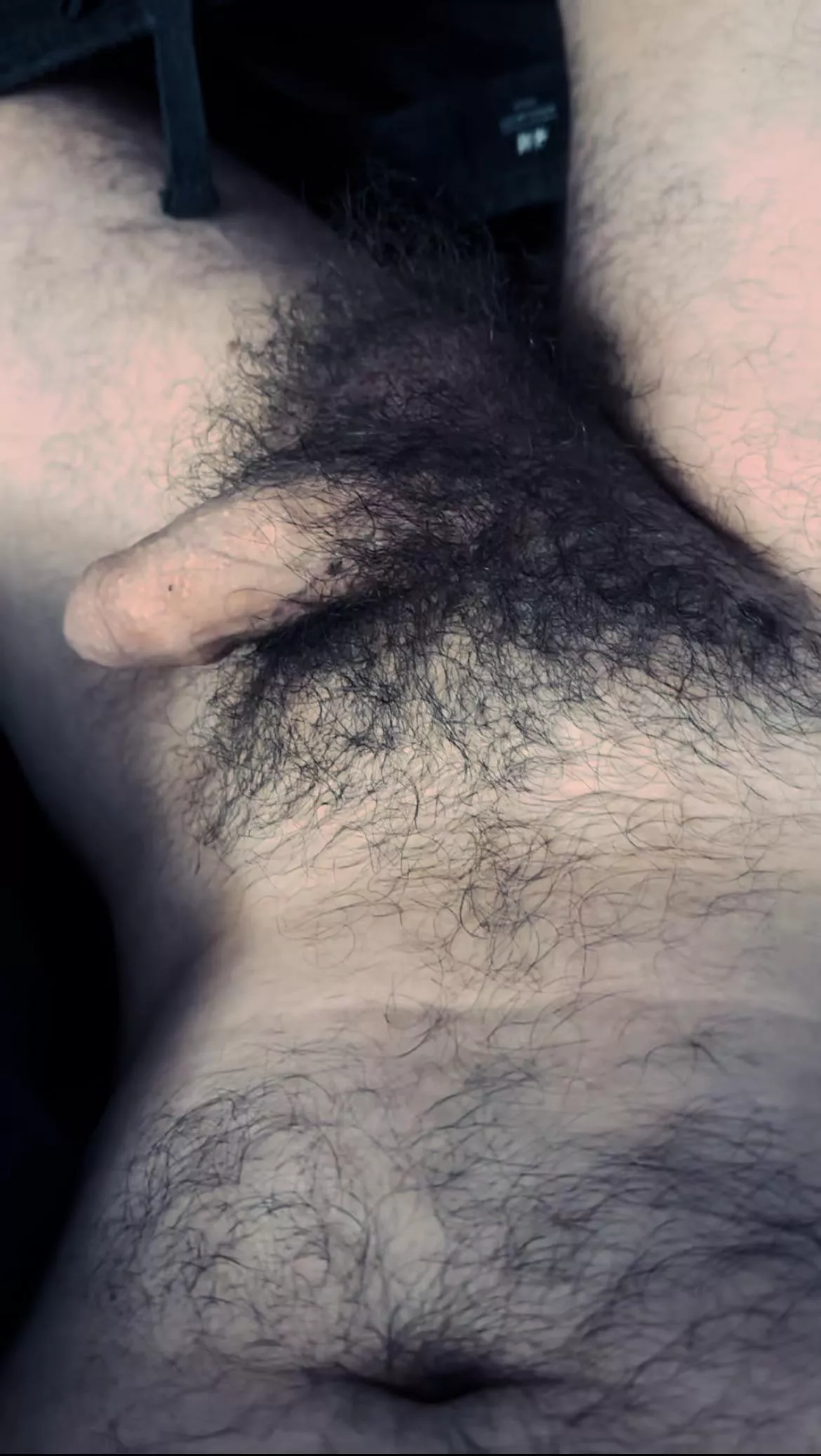 Balls totally covered in fur posted by com_b_filter