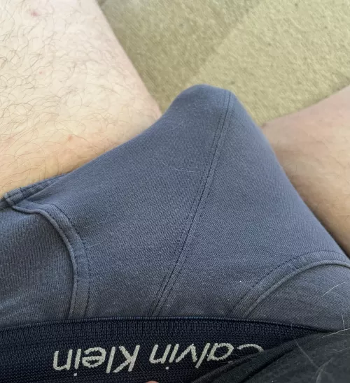 CK briefs are just the best by Throwaway12543678