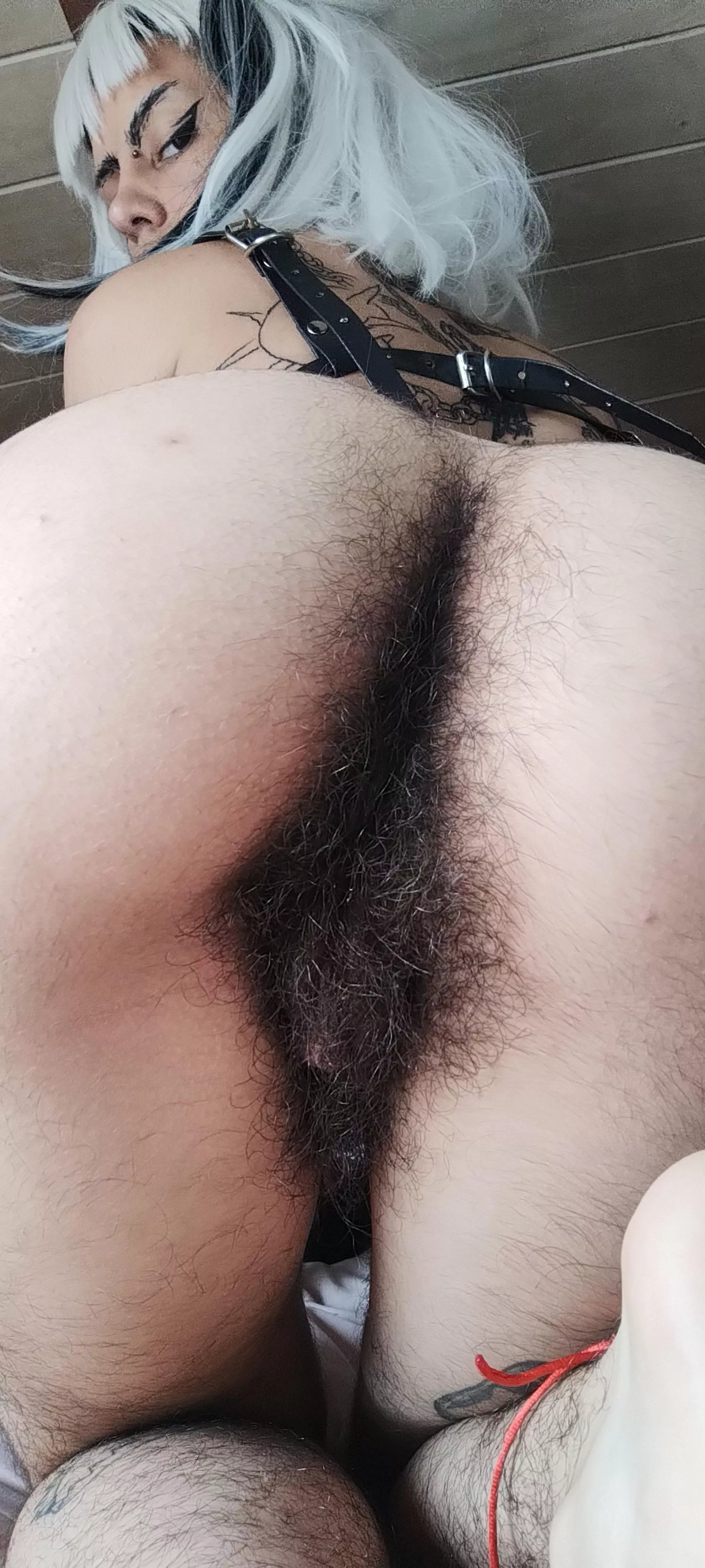 Do you dare to enter [h] posted by roto__