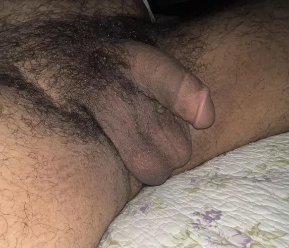 Hairy cock and some nice low hangers by CryNumerous119