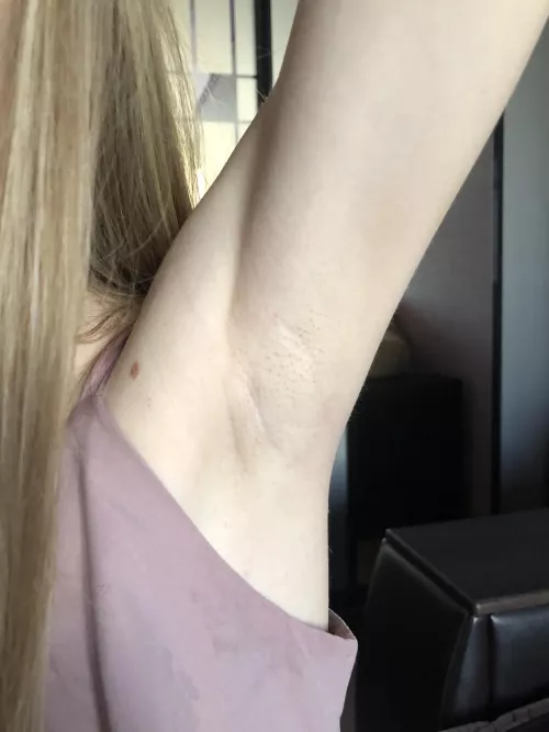 How do you like them? by TheReverse1