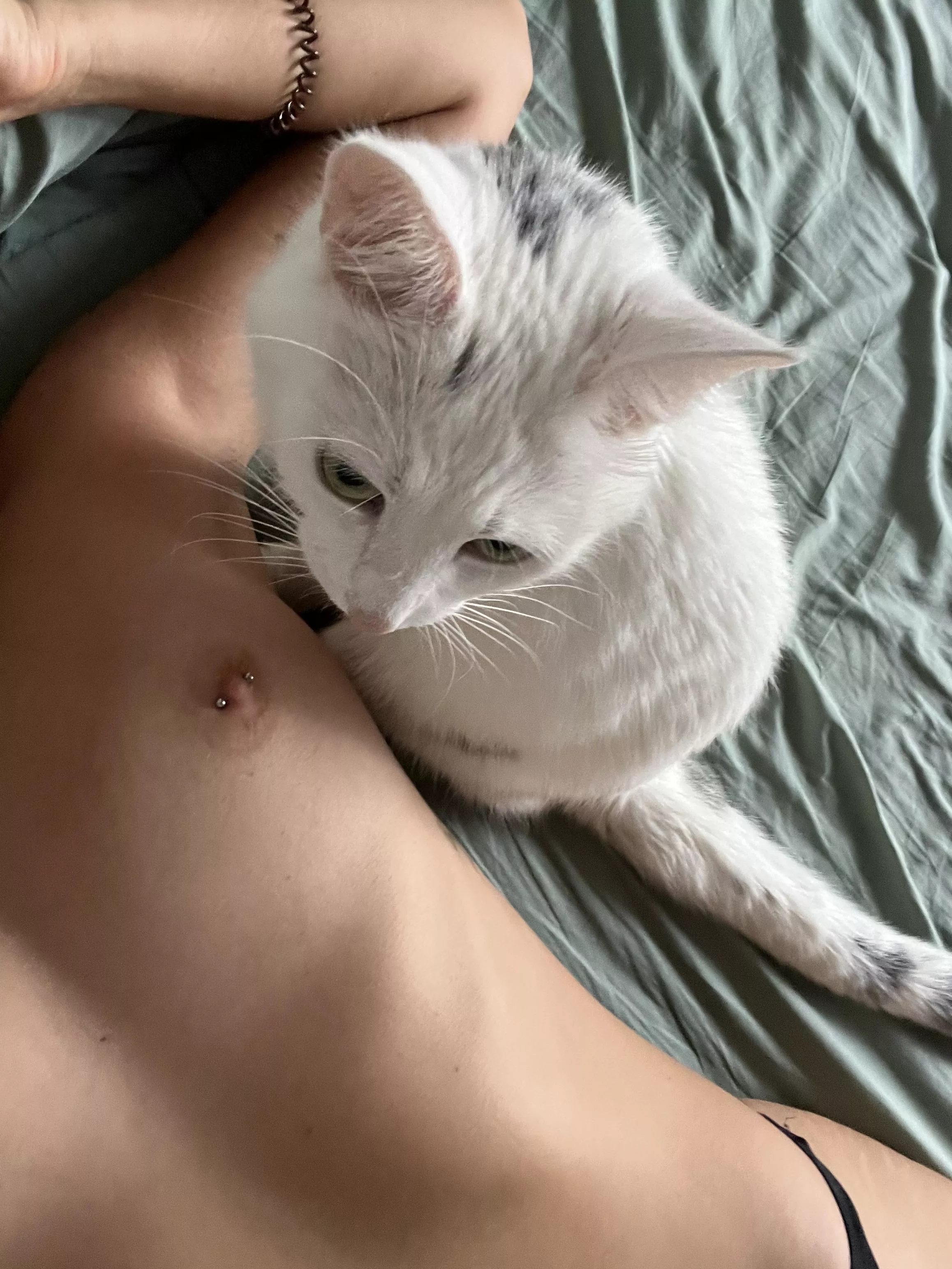 my kitty wants to be touched by you posted by Modestintro64