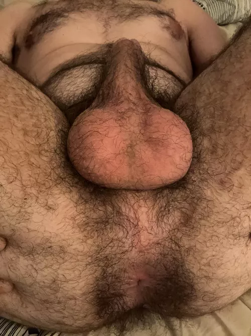 Play with my fur? by f96gay