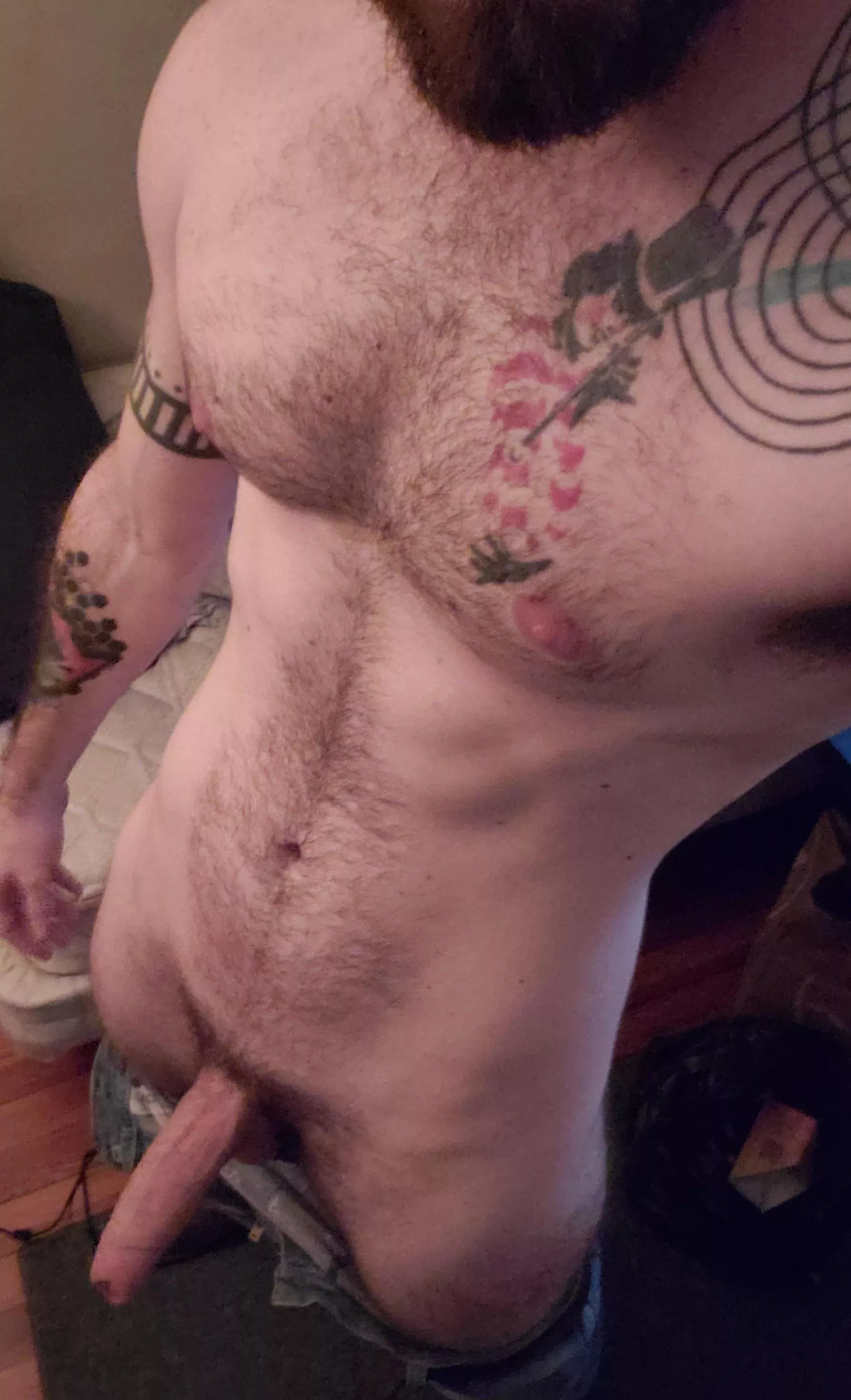 This big bull will leaving gaping and begging for more posted by ObliviousStretcher